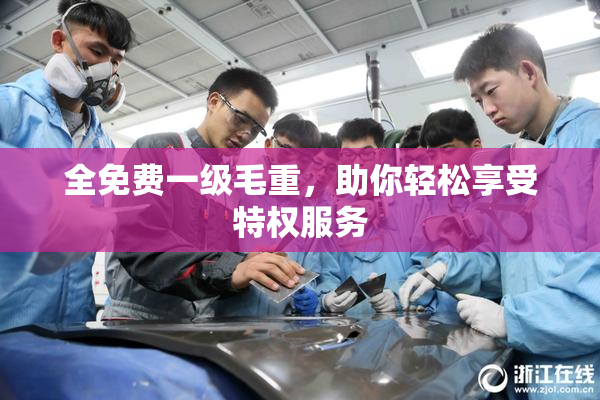 全免费一级毛重，助你轻松享受特权服务