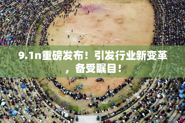 9.1n重磅发布！引发行业新变革，备受瞩目！