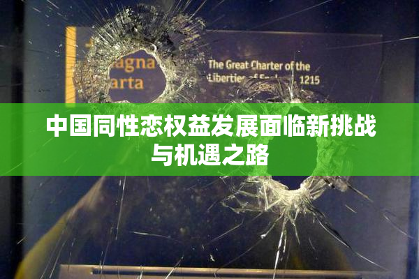 中国同性恋权益发展面临新挑战与机遇之路