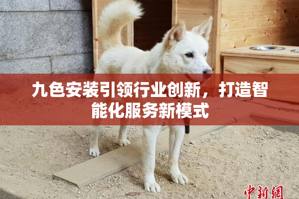 九色安装引领行业创新，打造智能化服务新模式