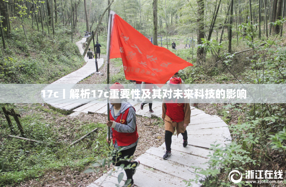 17c丨解析17c重要性及其对未来科技的影响