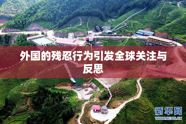 外国的残忍行为引发全球关注与反思