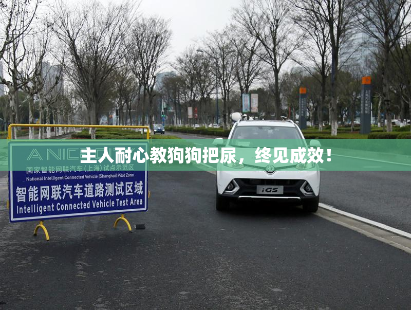 主人耐心教狗狗把尿，终见成效！