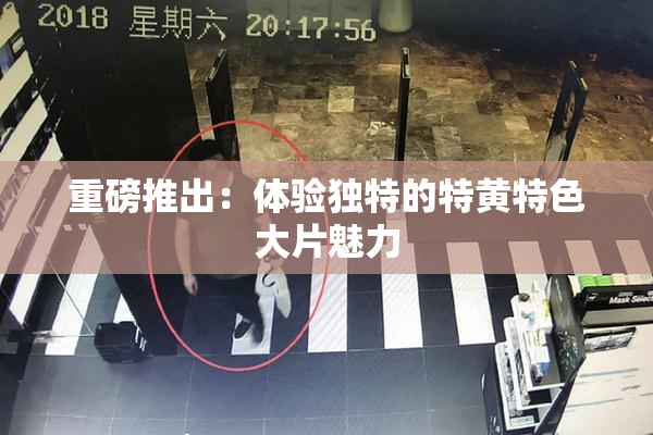 重磅推出：体验独特的特黄特色大片魅力