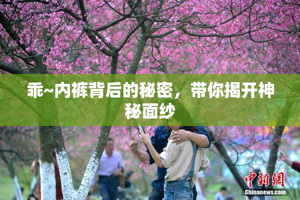 乖~内裤背后的秘密，带你揭开神秘面纱