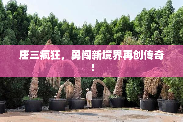 唐三疯狂，勇闯新境界再创传奇！
