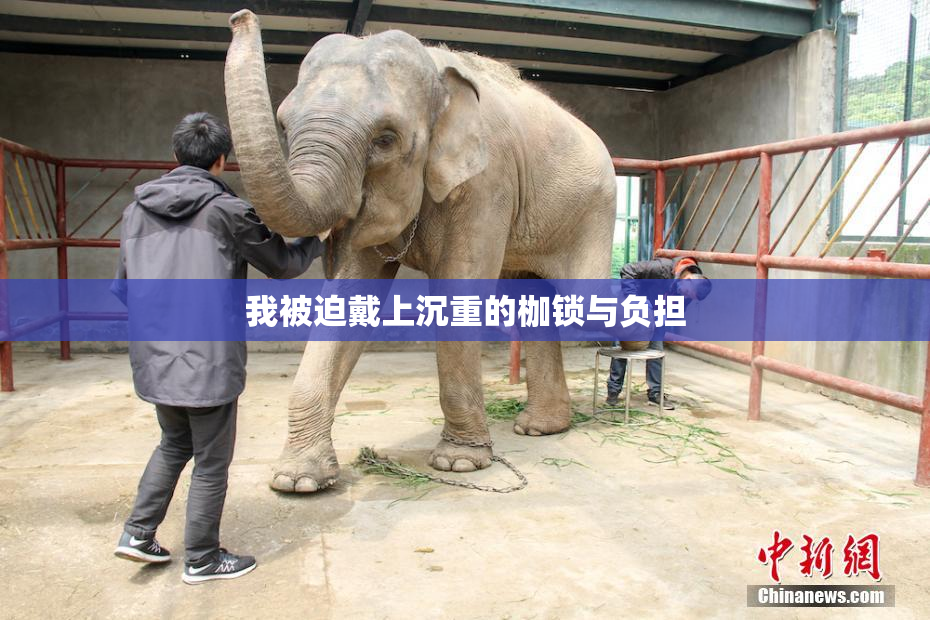 我被迫戴上沉重的枷锁与负担