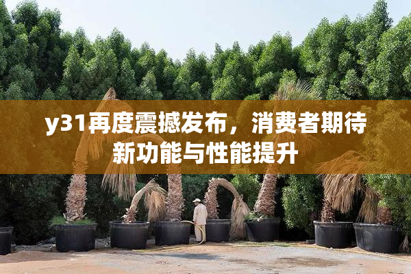 y31再度震撼发布，消费者期待新功能与性能提升