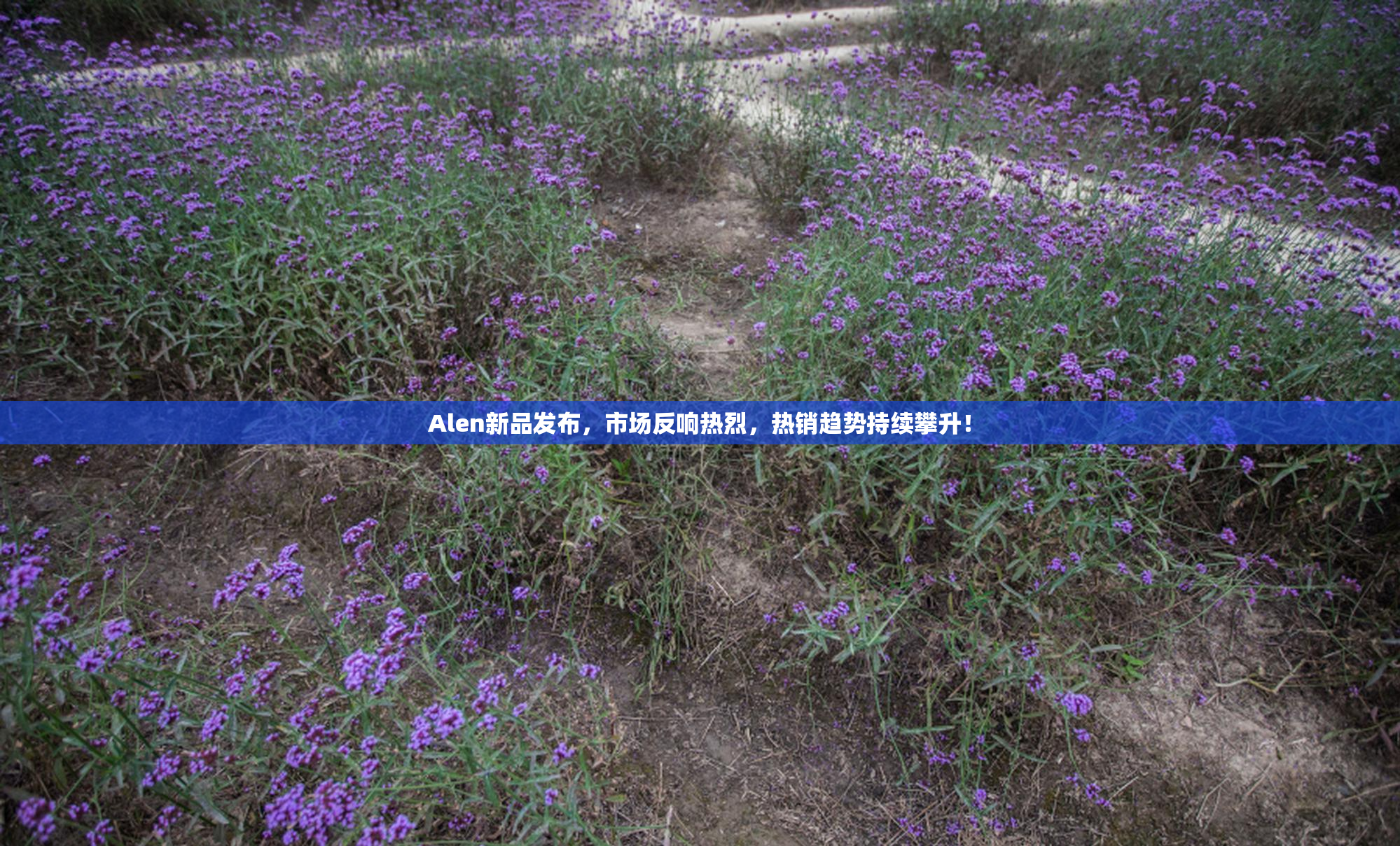 Alen新品发布，市场反响热烈，热销趋势持续攀升！