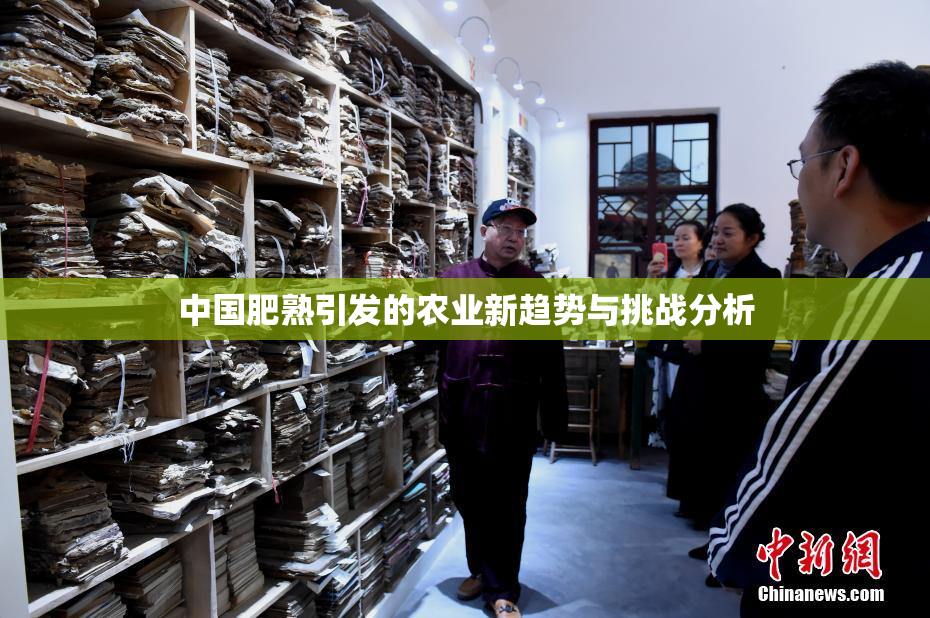 中国肥熟引发的农业新趋势与挑战分析
