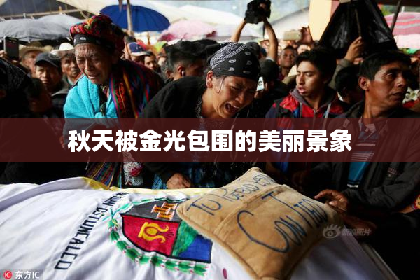 秋天被金光包围的美丽景象