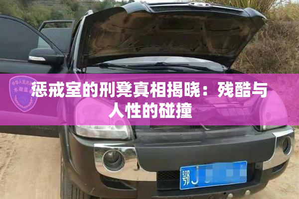 惩戒室的刑凳真相揭晓：残酷与人性的碰撞