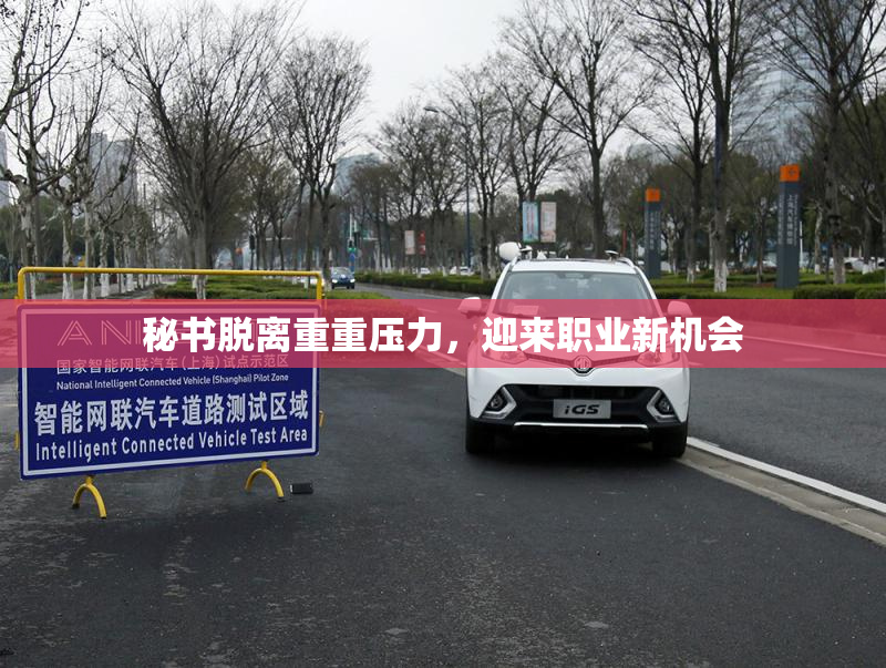 秘书脱离重重压力，迎来职业新机会