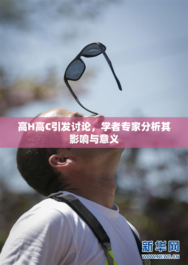 高H高C引发讨论，学者专家分析其影响与意义