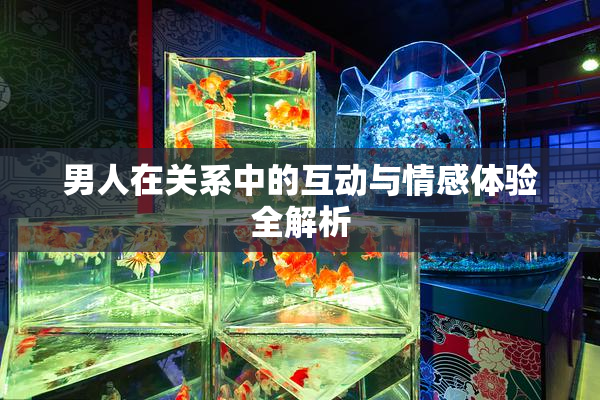男人在关系中的互动与情感体验全解析