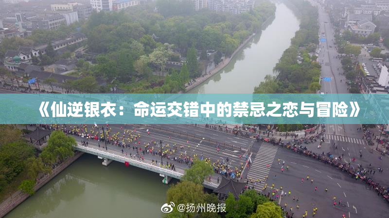 《仙逆银衣：命运交错中的禁忌之恋与冒险》