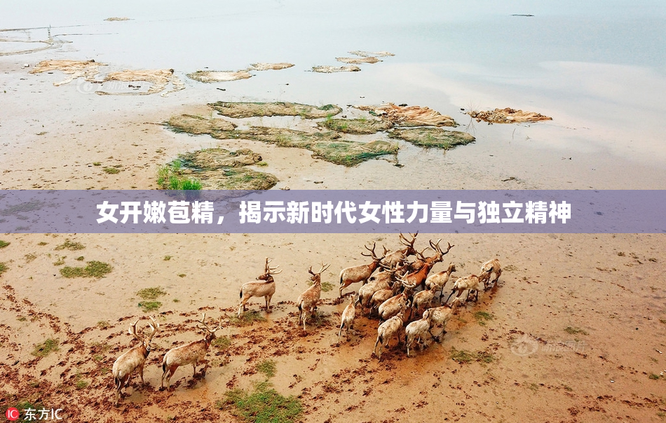 女开嫩苞精，揭示新时代女性力量与独立精神