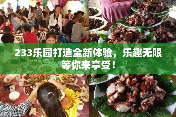 233乐园打造全新体验，乐趣无限等你来享受！