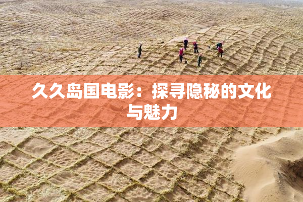 久久岛国电影：探寻隐秘的文化与魅力