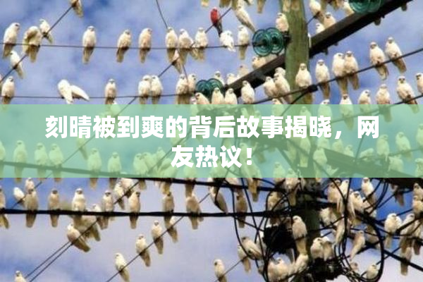 刻晴被到爽的背后故事揭晓，网友热议！