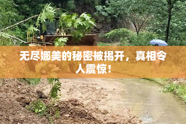 无尽娜美的秘密被揭开，真相令人震惊！