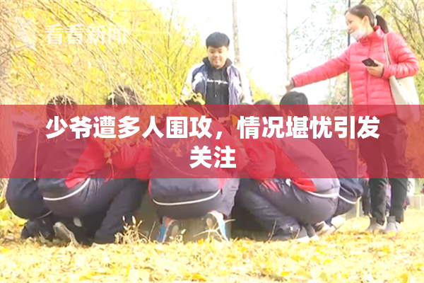 少爷遭多人围攻，情况堪忧引发关注