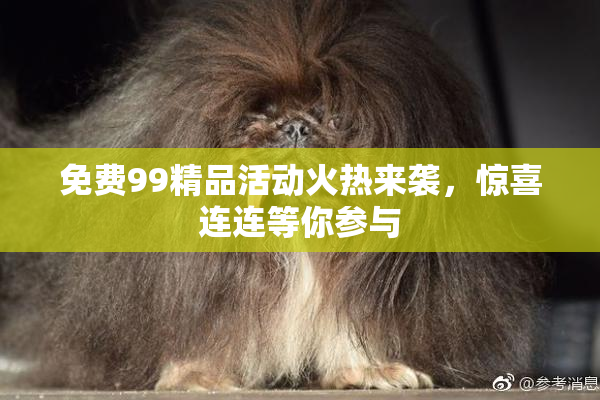 免费99精品活动火热来袭，惊喜连连等你参与