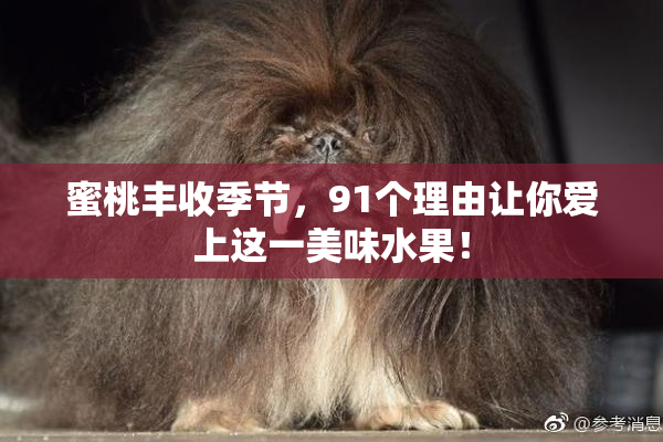 蜜桃丰收季节，91个理由让你爱上这一美味水果！