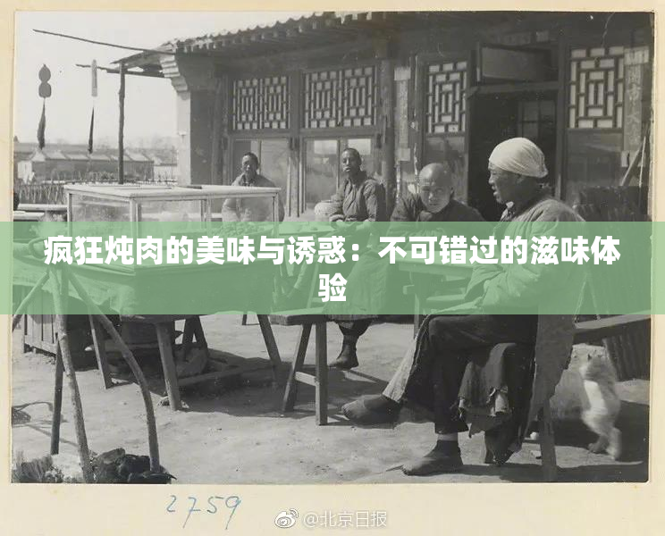 疯狂炖肉的美味与诱惑：不可错过的滋味体验