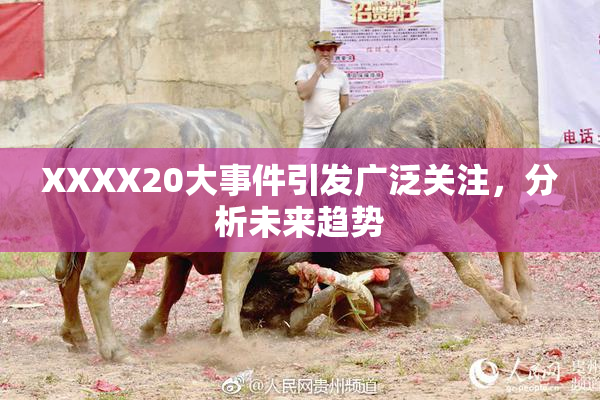 XXXX20大事件引发广泛关注，分析未来趋势