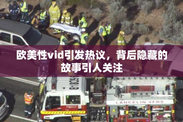 欧美性vid引发热议，背后隐藏的故事引人关注