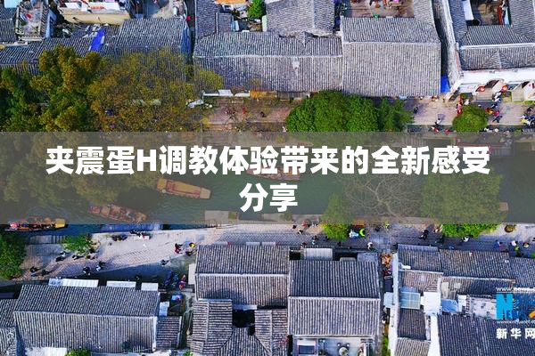 夹震蛋H调教体验带来的全新感受分享