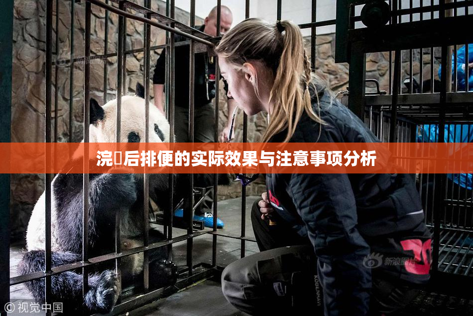 浣腸后排便的实际效果与注意事项分析