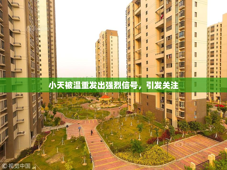 小天被温重发出强烈信号，引发关注