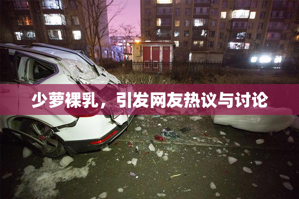 少萝裸乳，引发网友热议与讨论