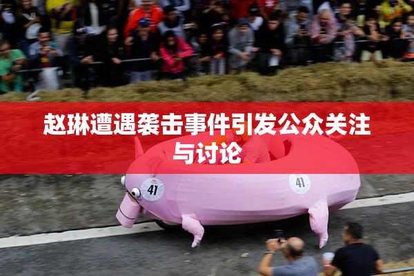 赵琳遭遇袭击事件引发公众关注与讨论