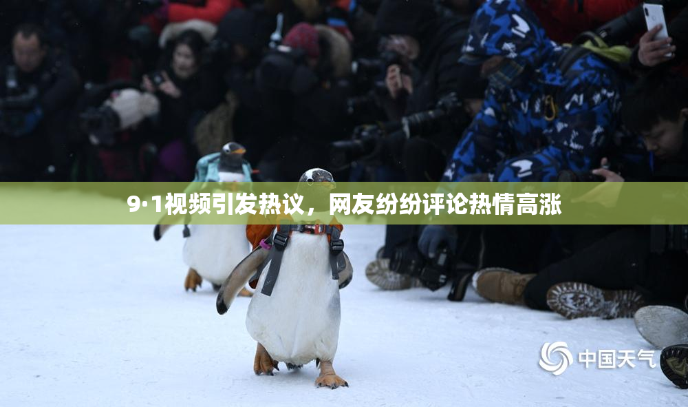 9·1视频引发热议，网友纷纷评论热情高涨