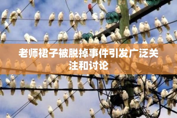 老师裙子被脱掉事件引发广泛关注和讨论