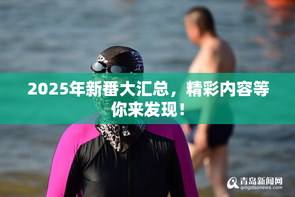2025年新番大汇总，精彩内容等你来发现！