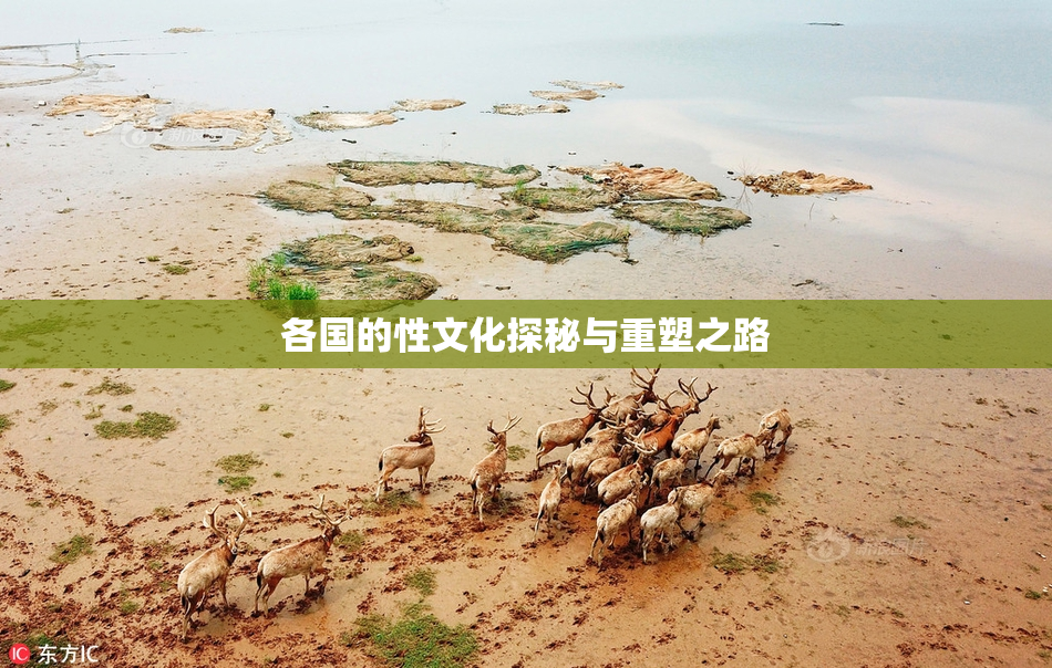 各国的性文化探秘与重塑之路