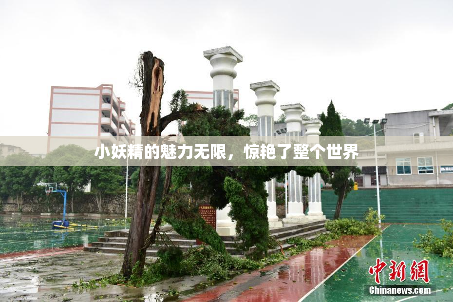 小妖精的魅力无限，惊艳了整个世界