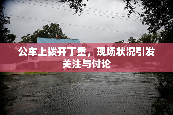 公车上拨开丁重，现场状况引发关注与讨论