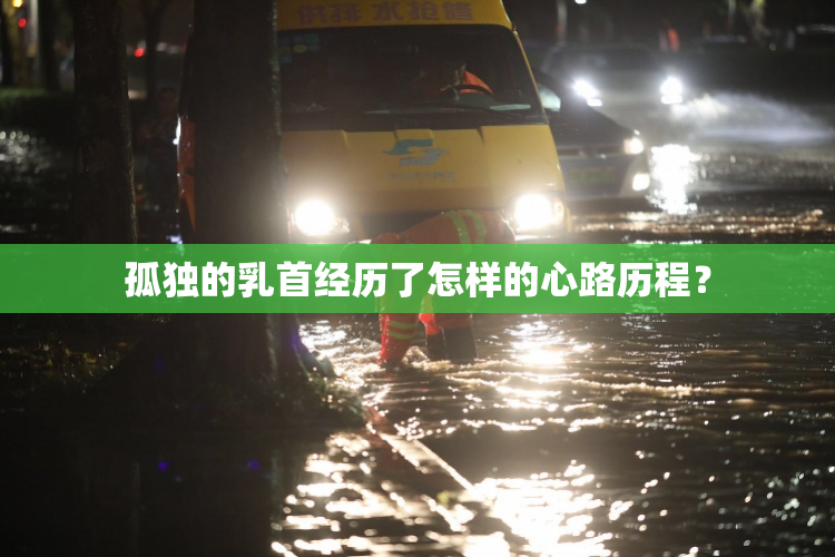 孤独的乳首经历了怎样的心路历程？