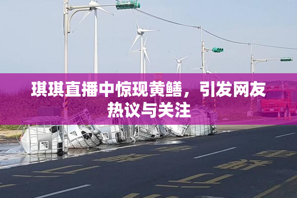 琪琪直播中惊现黄鳝，引发网友热议与关注