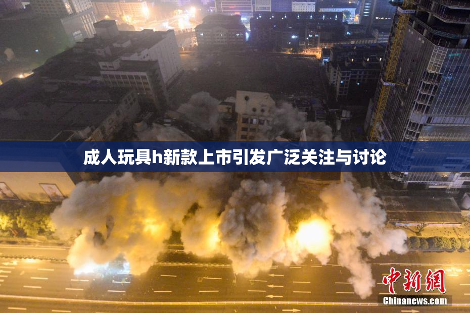 成人玩具h新款上市引发广泛关注与讨论