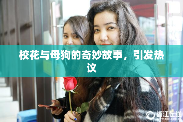 校花与母狗的奇妙故事，引发热议