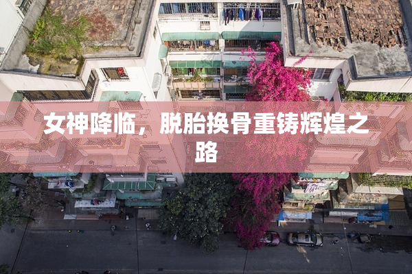 女神降临，脱胎换骨重铸辉煌之路