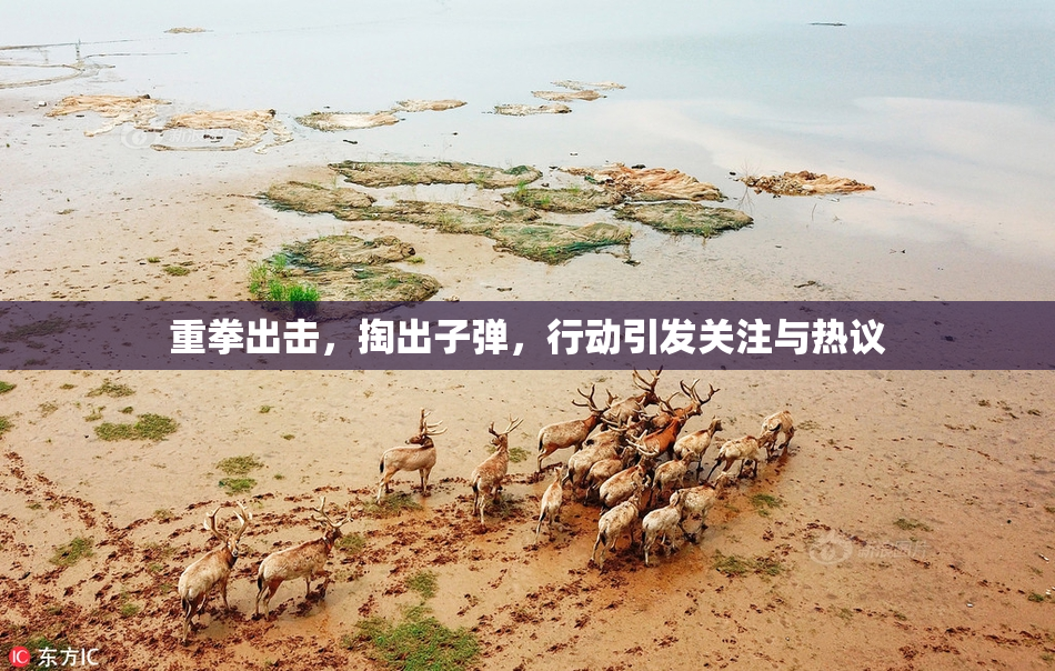 重拳出击，掏出子弹，行动引发关注与热议