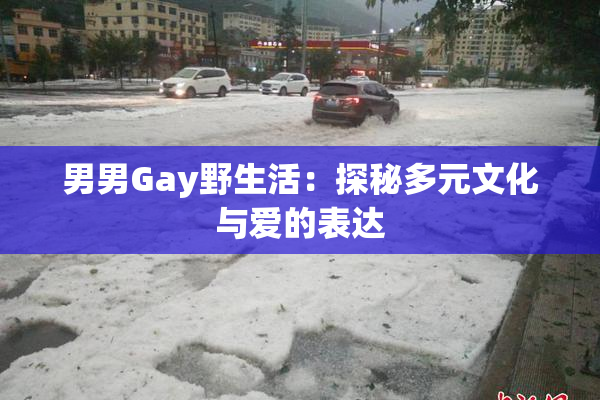 男男Gay野生活：探秘多元文化与爱的表达