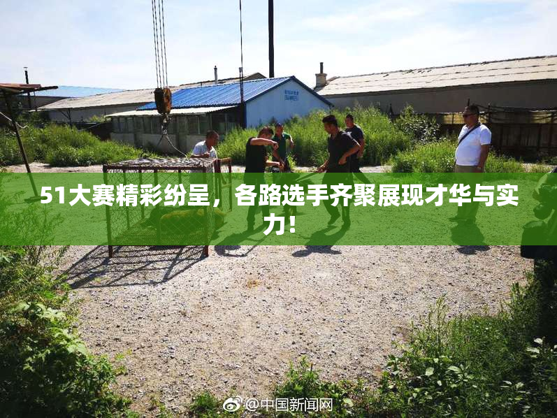 51大赛精彩纷呈，各路选手齐聚展现才华与实力！
